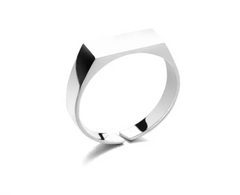 Stainless Steel Ring